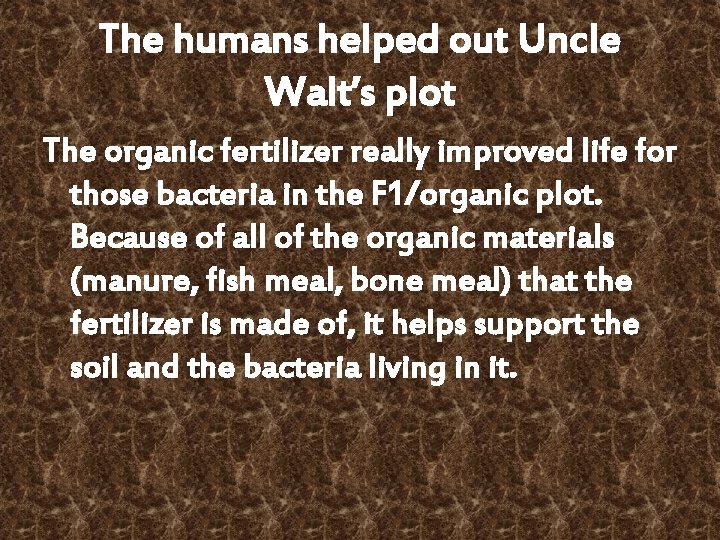 The humans helped out Uncle Walt’s plot The organic fertilizer really improved life for