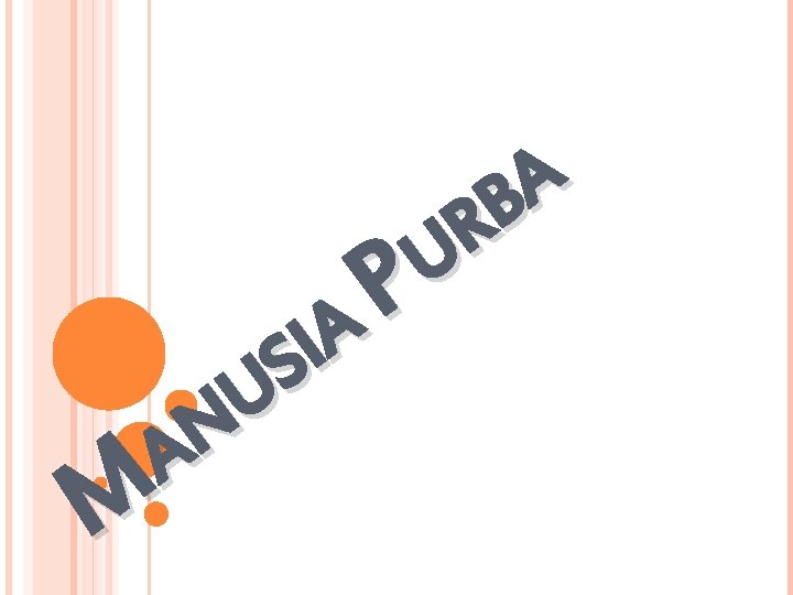 A I S U N A M A B R U P A I S U N A M A B R U P