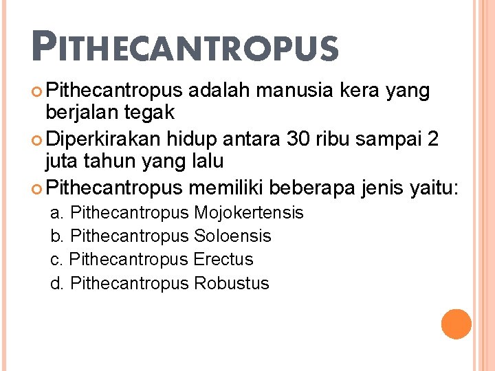 PITHECANTROPUS Pithecantropus adalah manusia kera yang berjalan tegak Diperkirakan hidup antara 30 ribu sampai PITHECANTROPUS Pithecantropus adalah manusia kera yang berjalan tegak Diperkirakan hidup antara 30 ribu sampai