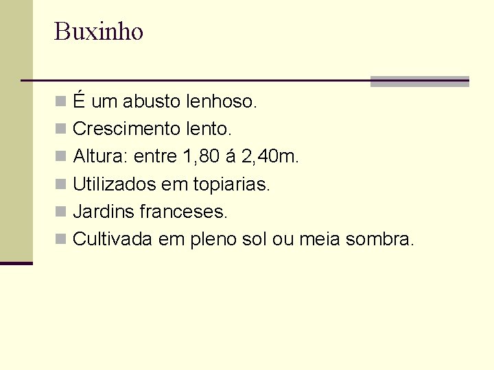 Buxinho n É um abusto lenhoso. n Crescimento lento. n Altura: entre 1, 80