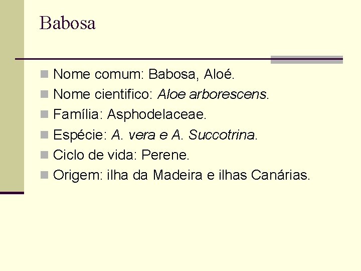 Babosa n Nome comum: Babosa, Aloé. n Nome cientifico: Aloe arborescens. n Família: Asphodelaceae.