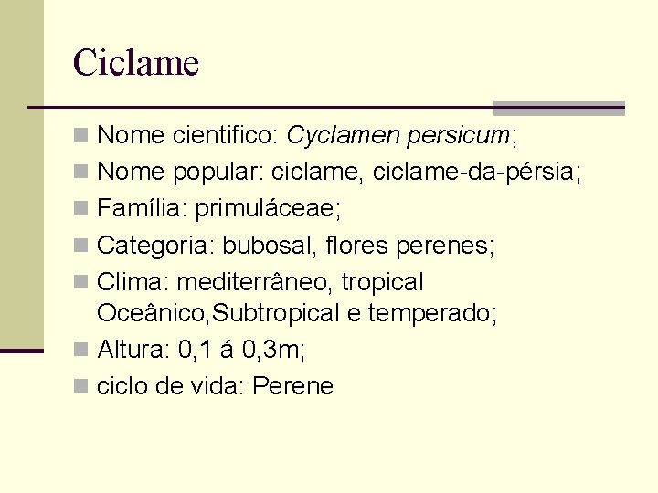 Ciclame n Nome cientifico: Cyclamen persicum; n Nome popular: ciclame, ciclame-da-pérsia; n Família: primuláceae;