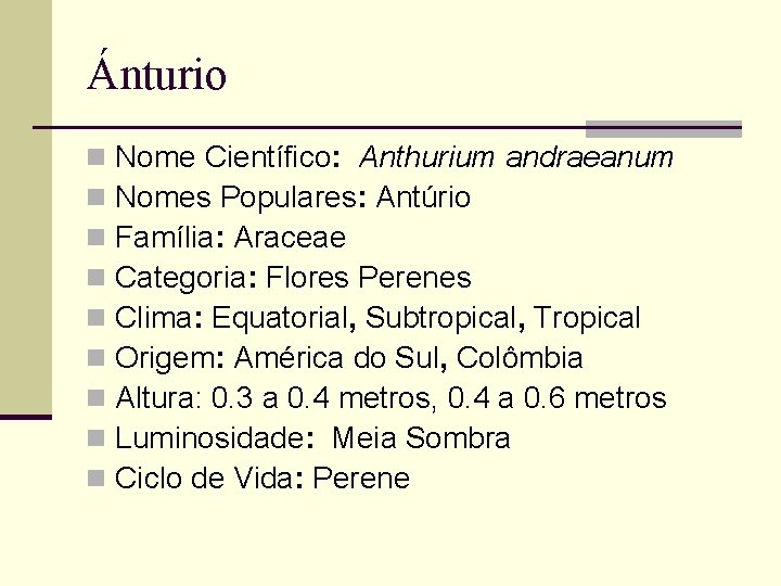 Ánturio n n n n n Nome Científico: Anthurium andraeanum Nomes Populares: Antúrio Família: