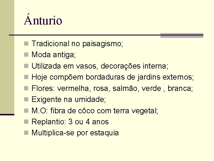 Ánturio n Tradicional no paisagismo; n Moda antiga; n Utilizada em vasos, decorações interna;