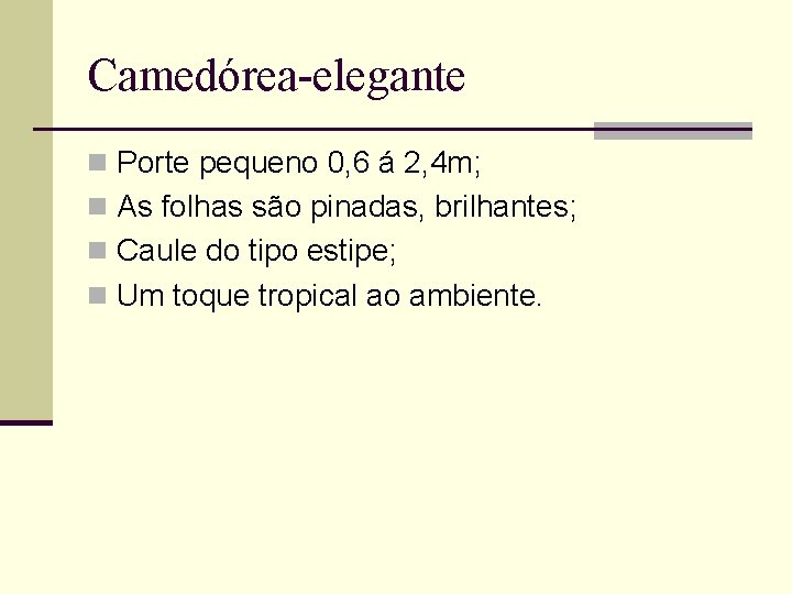 Camedórea-elegante n Porte pequeno 0, 6 á 2, 4 m; n As folhas são