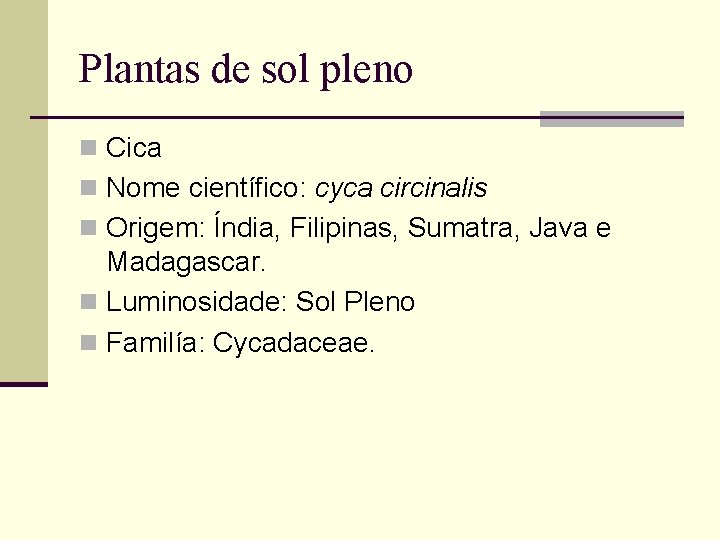 Plantas de sol pleno n Cica n Nome científico: cyca circinalis n Origem: Índia,
