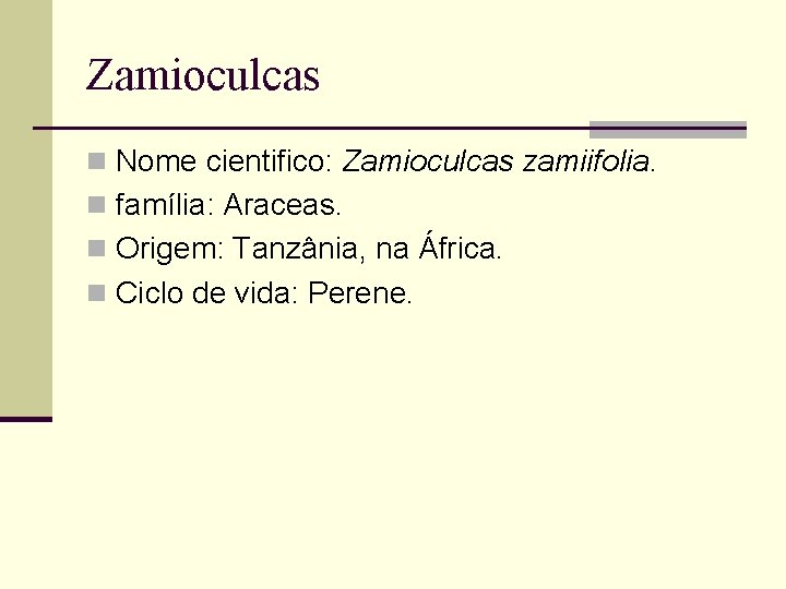 Zamioculcas n Nome cientifico: Zamioculcas zamiifolia. n família: Araceas. n Origem: Tanzânia, na África.