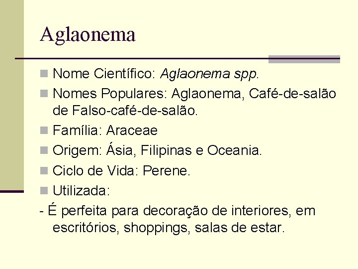 Aglaonema n Nome Científico: Aglaonema spp. n Nomes Populares: Aglaonema, Café-de-salão de Falso-café-de-salão. n