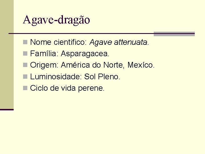 Agave-dragão n Nome cientifico: Agave attenuata. n Família: Asparagacea. n Origem: América do Norte,