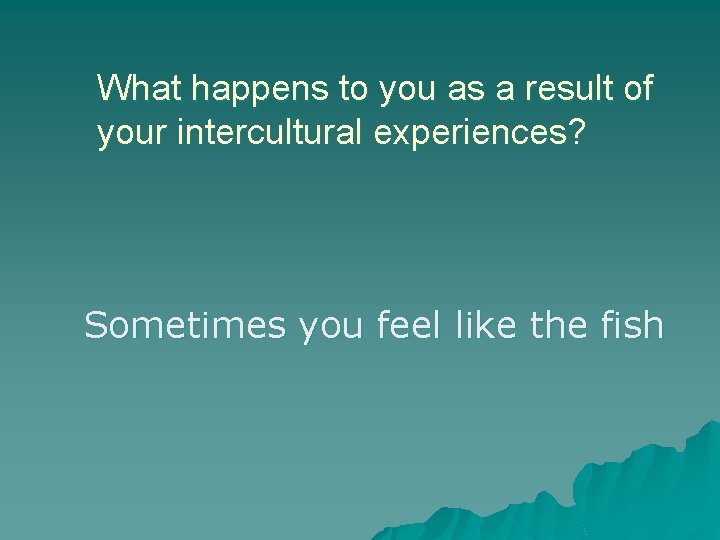 What happens to you as a result of your intercultural experiences? Sometimes you feel