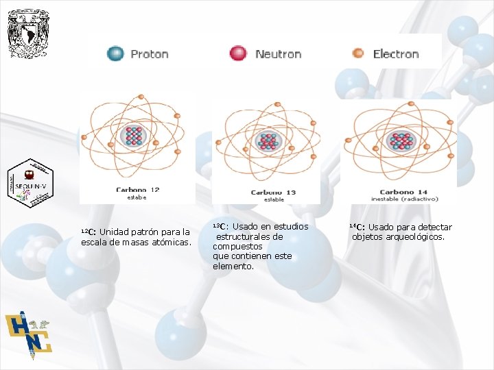 12 C: Unidad patrón para la escala de masas atómicas. 13 C: Usado en
