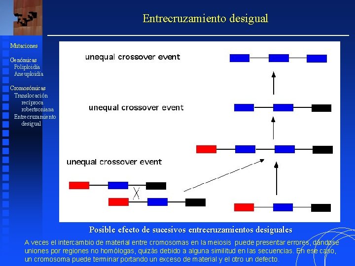 Entrecruzamiento desigual Mutaciones Genómicas Poliploidía Aneuploidía Cromosómicas Translocación recíproca robertsoniana Entrecruzamiento desigual Posible efecto