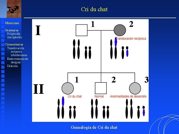 Cri du chat Mutaciones Genómicas Poliploidía Aneuploidía Cromosómicas Translocación recíproca robertsoniana Entrecruzamiento desigual Deleción