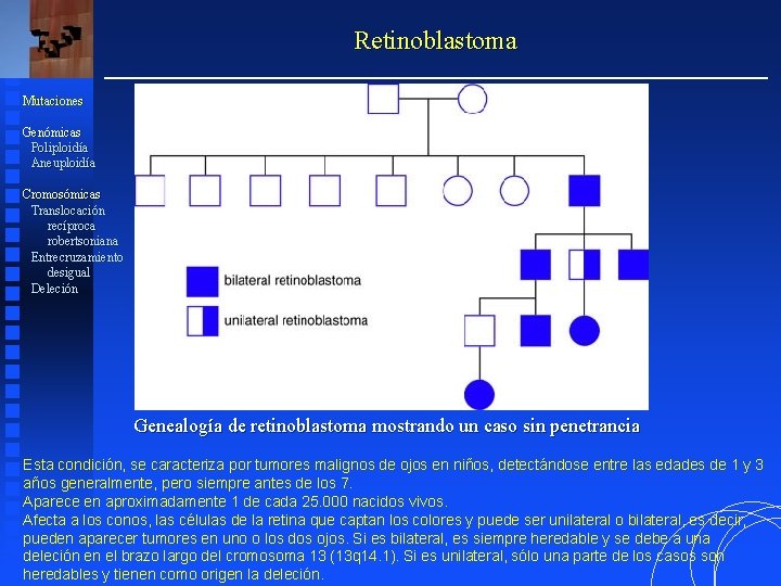 Retinoblastoma Mutaciones Genómicas Poliploidía Aneuploidía Cromosómicas Translocación recíproca robertsoniana Entrecruzamiento desigual Deleción Genealogía de