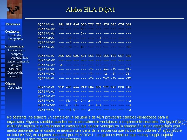 Alelos HLA-DQA 1 Mutaciones Genómicas Poliploidía Aneuploidía Cromosómicas Translocación recíproca robertsoniana Entrecruzamiento desigual Deleción