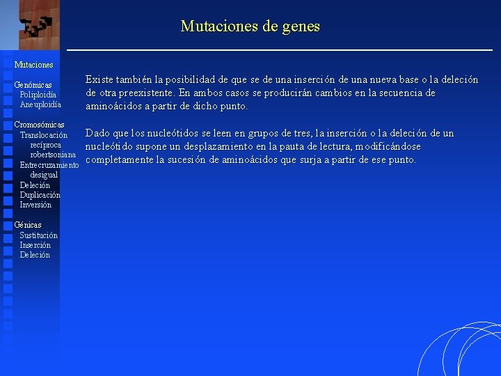Mutaciones de genes Mutaciones Genómicas Poliploidía Aneuploidía Cromosómicas Translocación recíproca robertsoniana Entrecruzamiento desigual Deleción