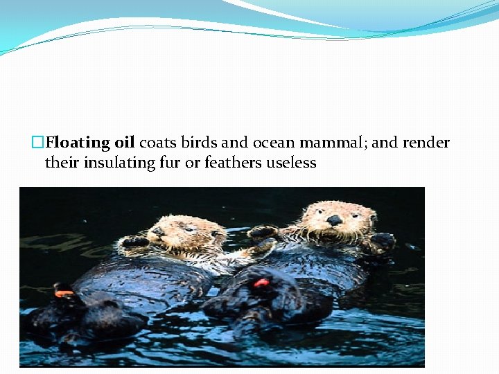 �Floating oil coats birds and ocean mammal; and render their insulating fur or feathers