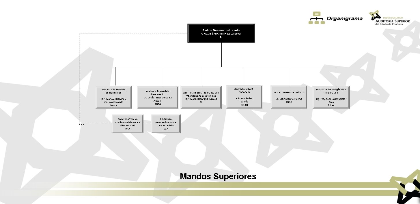 Auditor Superior del Estado C. P. C. José Armando Plata Sandoval S Auditoría Especial