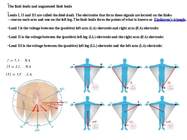 The limb leads and augmented limb leads Leads I, II and III are called