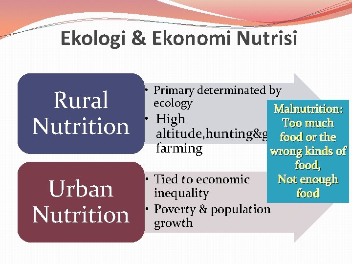 Ekologi & Ekonomi Nutrisi Rural Nutrition Urban Nutrition • Primary determinated by ecology Malnutrition: