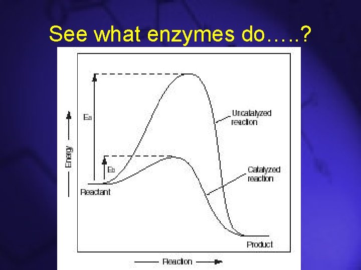 See what enzymes do…. . ? 
