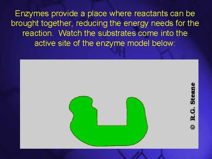 Enzymes provide a place where reactants can be brought together, reducing the energy needs