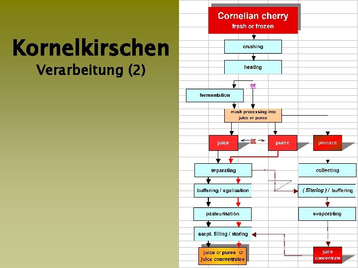 Kornelkirschen Verarbeitung (2) 