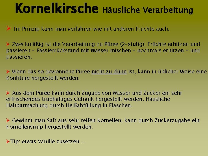 Kornelkirsche Häusliche Verarbeitung Kornelkirsche Verarbeitung Ø Im Prinzip kann man verfahren wie mit anderen