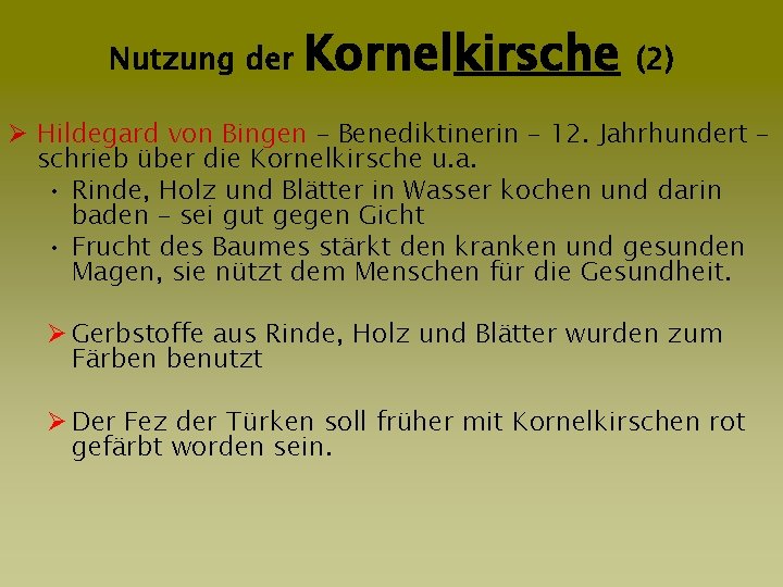 Nutzung der Kornelkirsche (2) Ø Hildegard von Bingen – Benediktinerin – 12. Jahrhundert –