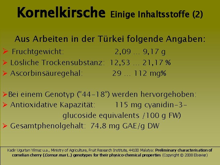 Kornelkirsche Einige Inhaltsstoffe (2) Aus Arbeiten in der Türkei folgende Angaben: Ø Fruchtgewicht: 2,