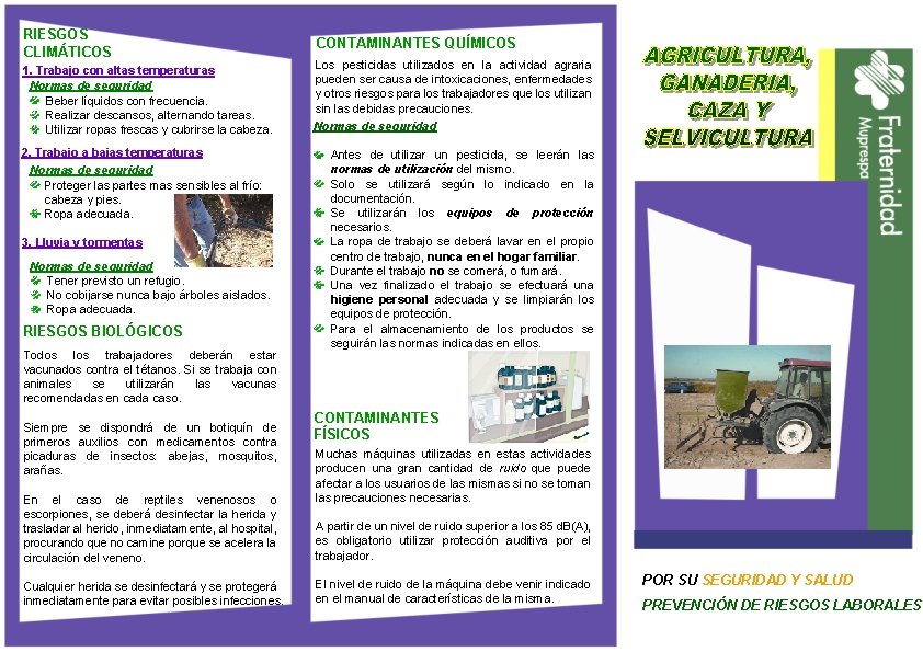 RIESGOS CLIMÁTICOS 1. Trabajo con altas temperaturas Normas de seguridad Beber líquidos con frecuencia.