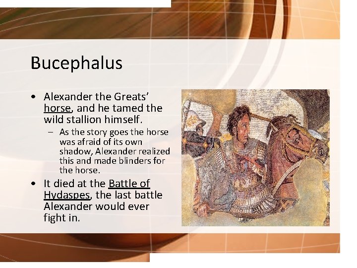 Bucephalus • Alexander the Greats’ horse, and he tamed the wild stallion himself. –