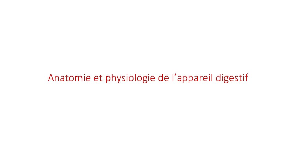 Anatomie et physiologie de l’appareil digestif 