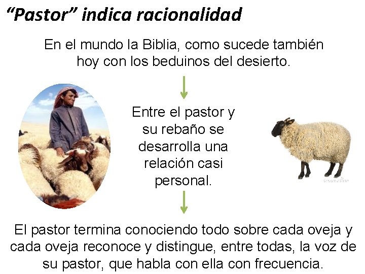 “Pastor” indica racionalidad En el mundo la Biblia, como sucede también hoy con los