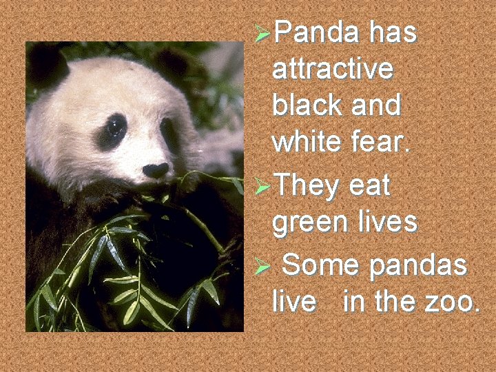 ØPanda has attractive black and white fear. ØThey eat green lives Ø Some pandas