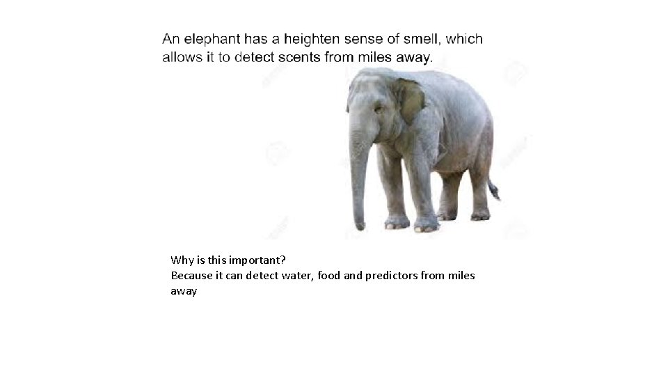 Why is this important? Because it can detect water, food and predictors from miles