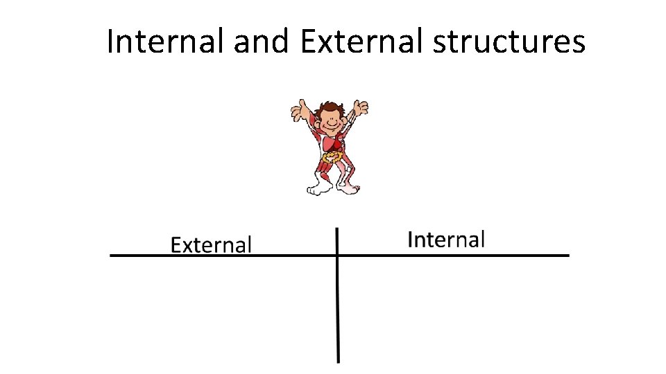 Internal and External structures 
