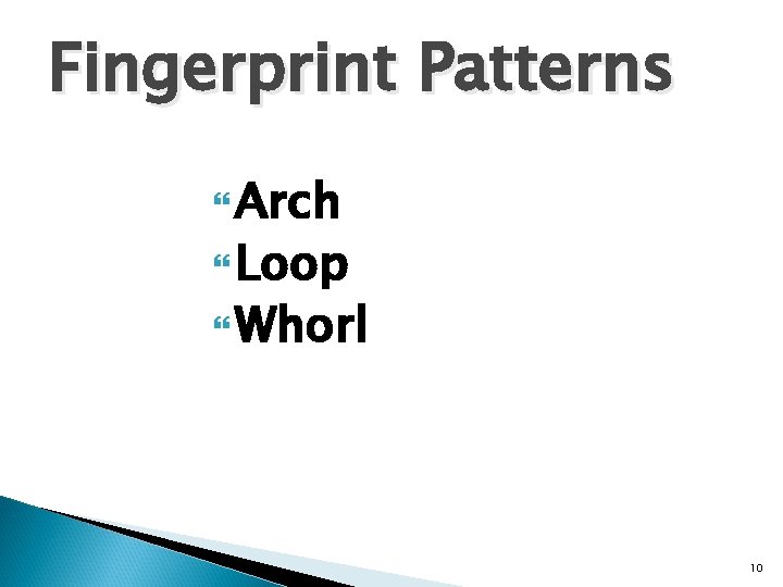 Fingerprint Patterns Arch Loop Whorl 10 