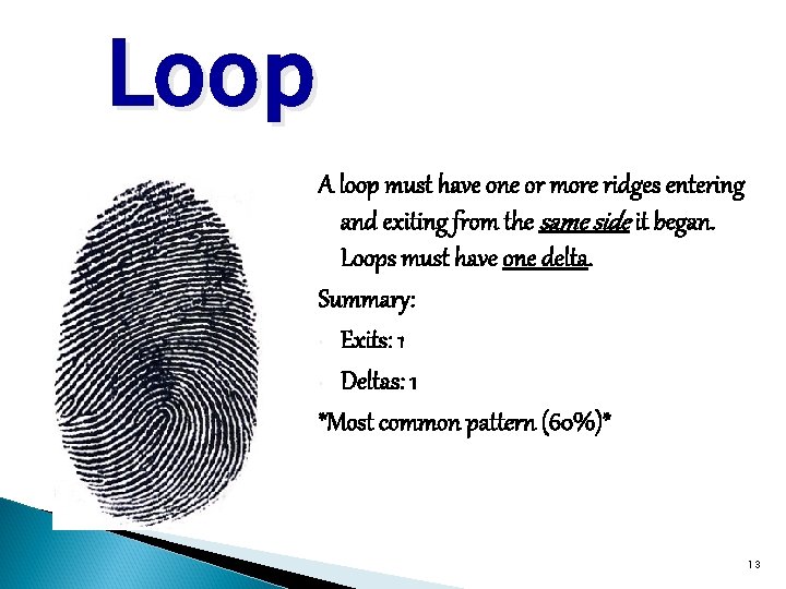 Loop A loop must have one or more ridges entering and exiting from the