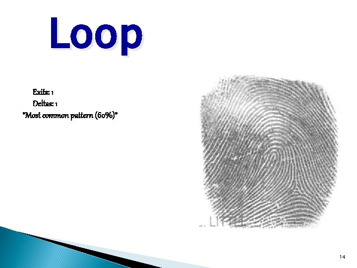 Loop Exits: 1 • Deltas: 1 *Most common pattern (60%)* • 14 