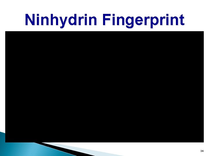 Ninhydrin Fingerprint 34 