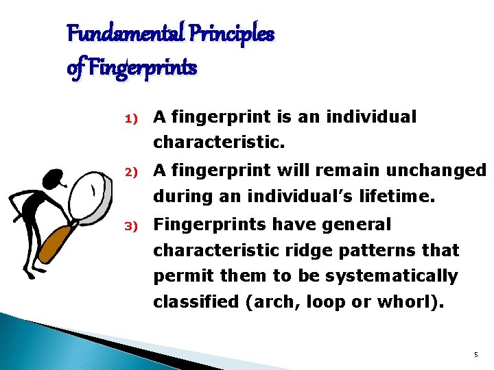 Fundamental Principles of Fingerprints 1) A fingerprint is an individual characteristic. 2) A fingerprint