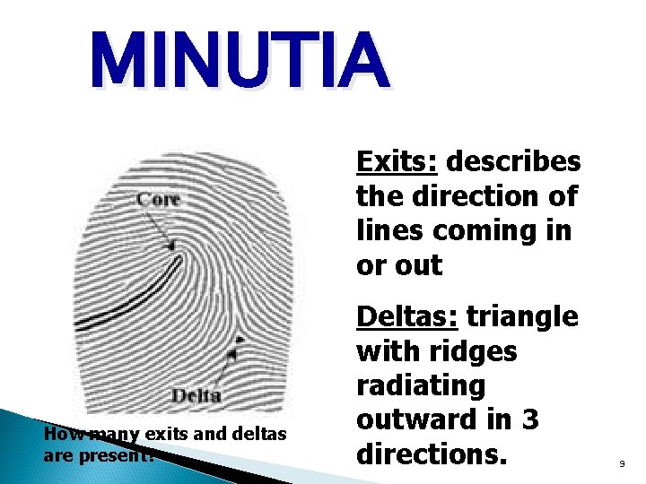MINUTIA Exits: describes the direction of lines coming in or out How many exits