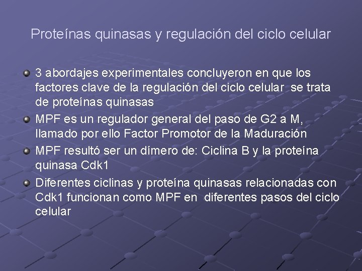 Proteínas quinasas y regulación del ciclo celular 3 abordajes experimentales concluyeron en que los Proteínas quinasas y regulación del ciclo celular 3 abordajes experimentales concluyeron en que los
