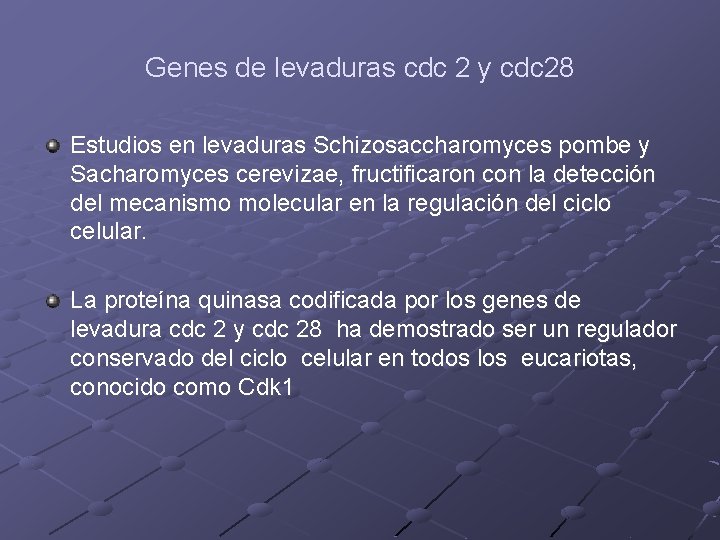 Genes de levaduras cdc 2 y cdc 28 Estudios en levaduras Schizosaccharomyces pombe y Genes de levaduras cdc 2 y cdc 28 Estudios en levaduras Schizosaccharomyces pombe y