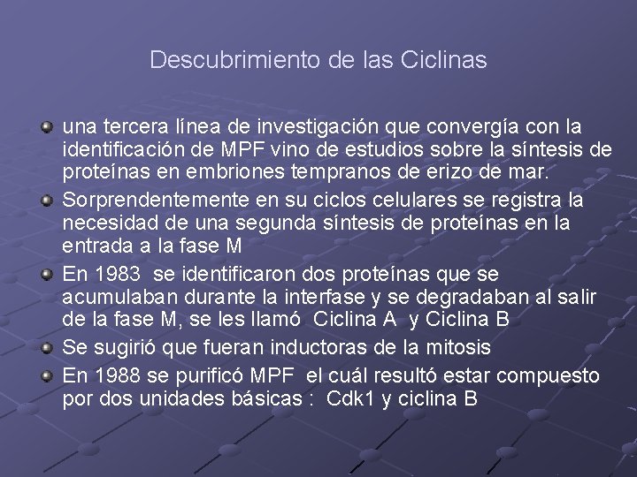 Descubrimiento de las Ciclinas una tercera línea de investigación que convergía con la identificación Descubrimiento de las Ciclinas una tercera línea de investigación que convergía con la identificación