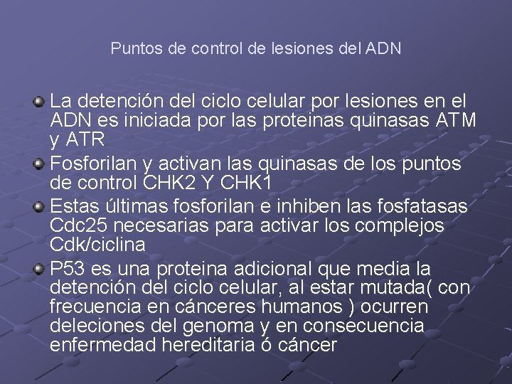 Puntos de control de lesiones del ADN La detención del ciclo celular por lesiones Puntos de control de lesiones del ADN La detención del ciclo celular por lesiones