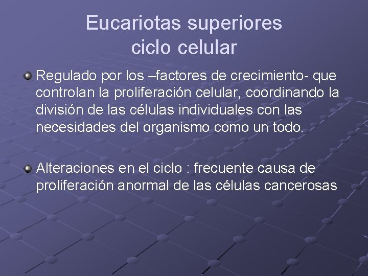 Eucariotas superiores ciclo celular Regulado por los –factores de crecimiento- que controlan la proliferación Eucariotas superiores ciclo celular Regulado por los –factores de crecimiento- que controlan la proliferación