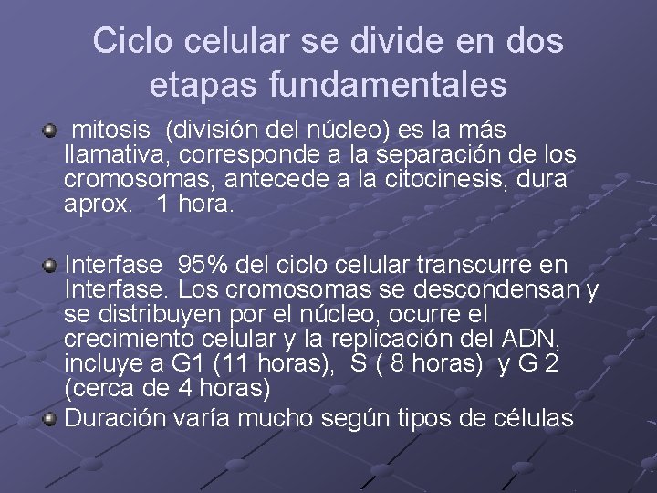 Ciclo celular se divide en dos etapas fundamentales mitosis (división del núcleo) es la Ciclo celular se divide en dos etapas fundamentales mitosis (división del núcleo) es la