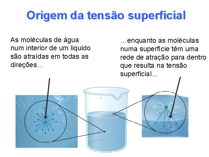 Origem da tensão superficial As moléculas de água num interior de um liquido são